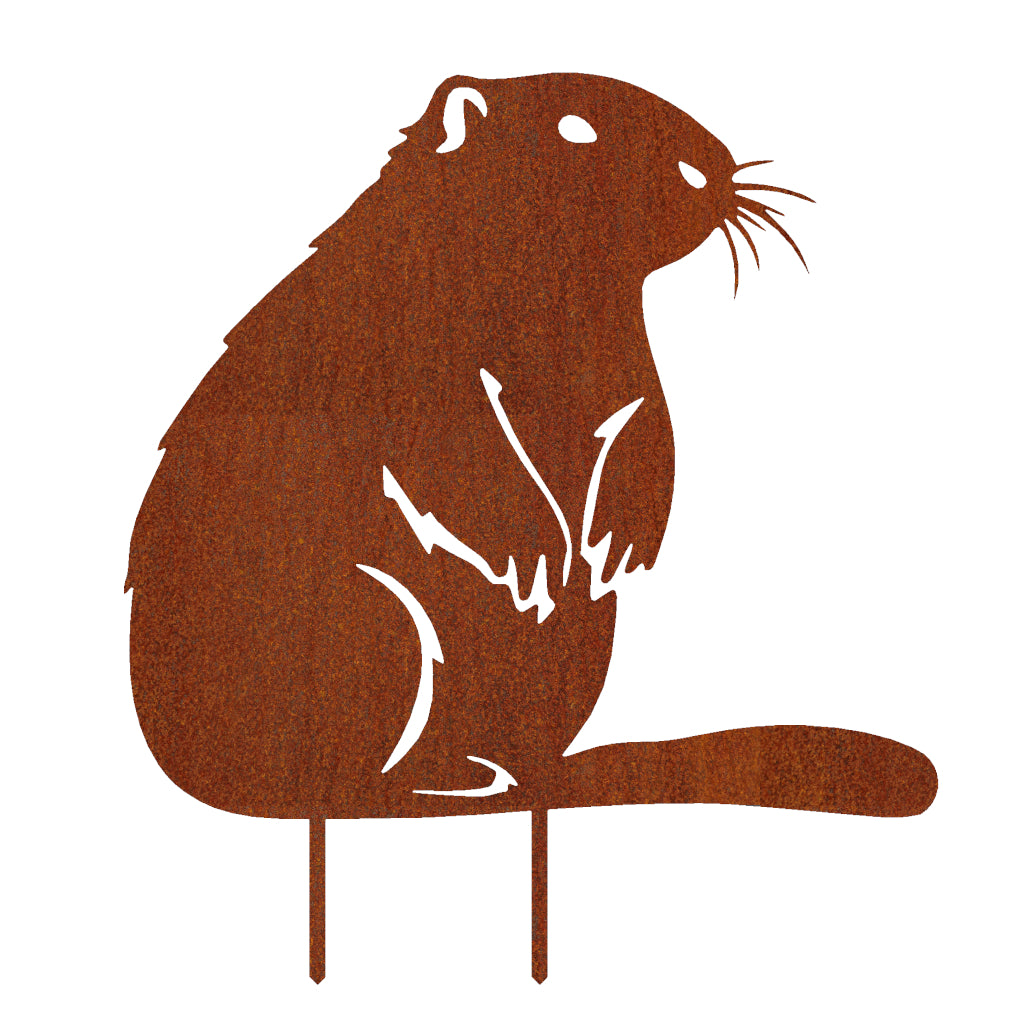 Gartenstecker Biber aus Cortenstahl in natürlicher Haltung, Maße: 55 x 49 cm, Materialstärke: 2 mm, Gartenfigur in rostbrauner Optik.