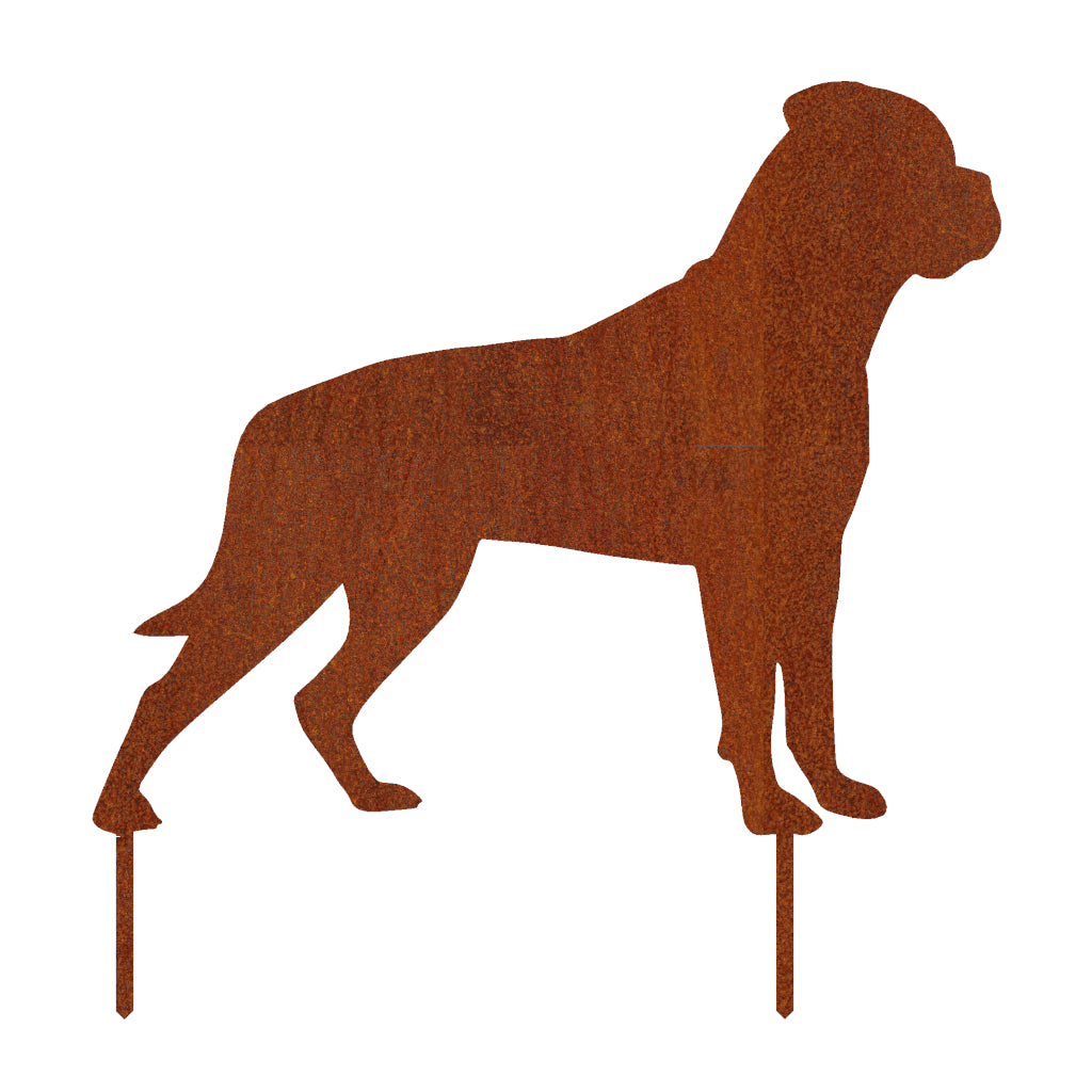 Gartenstecker aus Cortenstahl in Form eines Boxers, 51,1 x 49,5 cm, Edelstahl-Option verfügbar, symbolisiert Treue und Kraft im Garten.