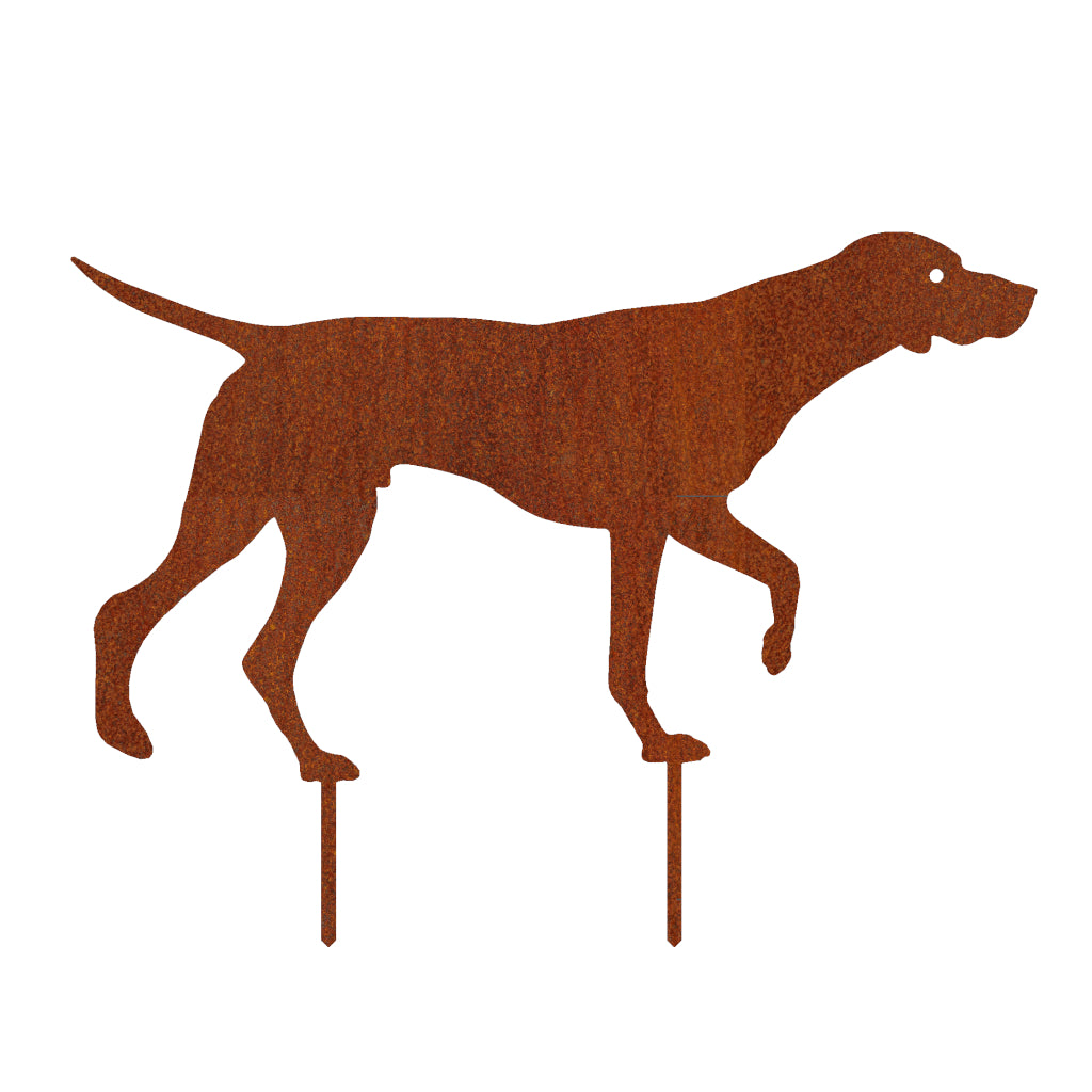 Gartenstecker in der Form eines Deutsch Kurzhaar Hundes aus Cortenstahl, Maße 43,4 x 58,5 cm, Materialstärke 2 mm, für stilvolle Gartendekoration.