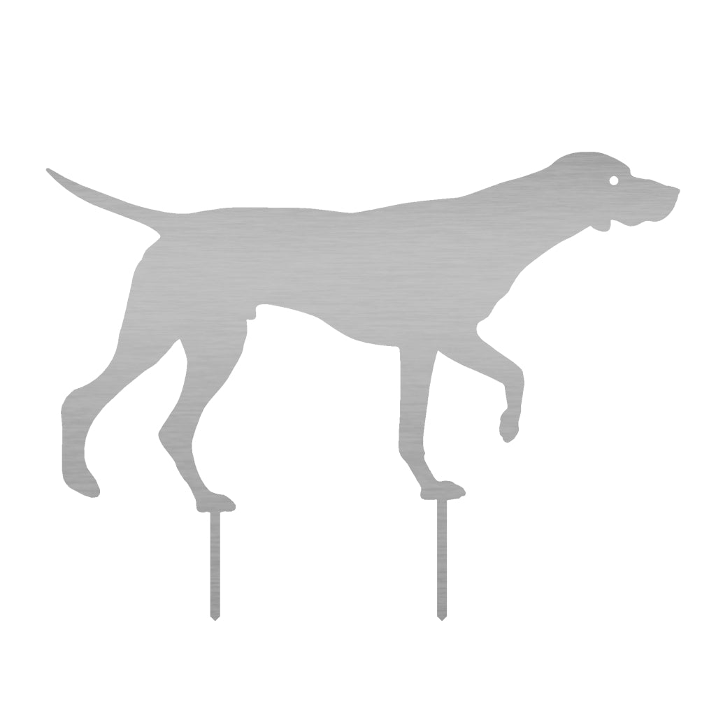 Gartenstecker Deutsch Kurzhaar aus Edelstahl, eleganter und anmutiger Hund zur Gartendekoration, Maße 43,4 x 58,5 cm, Materialstärke 2 mm, erhältlich bei .