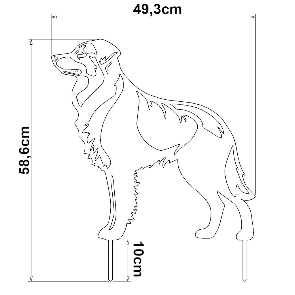 Gartenstecker im Design eines Australian Shepherds, aus Metall geschnitten, Maße: 58,6 x 49,3 cm, erhältlich in Cortenstahl und Edelstahl.
