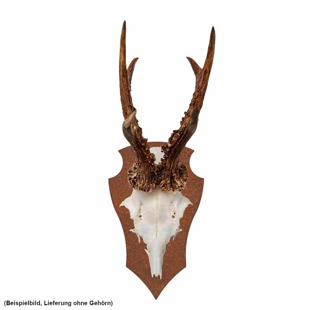 Gehörnbrett Rehbock aus Cortenstahl mit Edelrost-Effekt, rustikale und elegante Halterung für Rehbockgeweih, Abmessungen: 20,1 x 12,2 cm, Materialstärke: 2 mm.