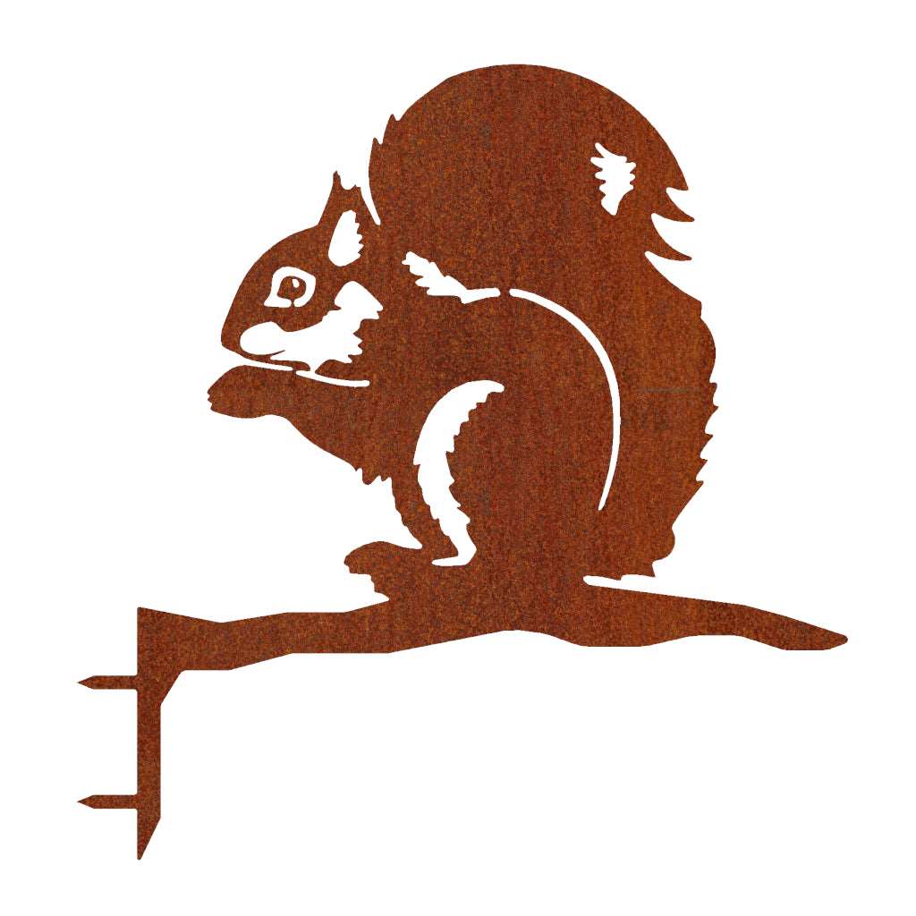 Baumstecker Eichhörnchen