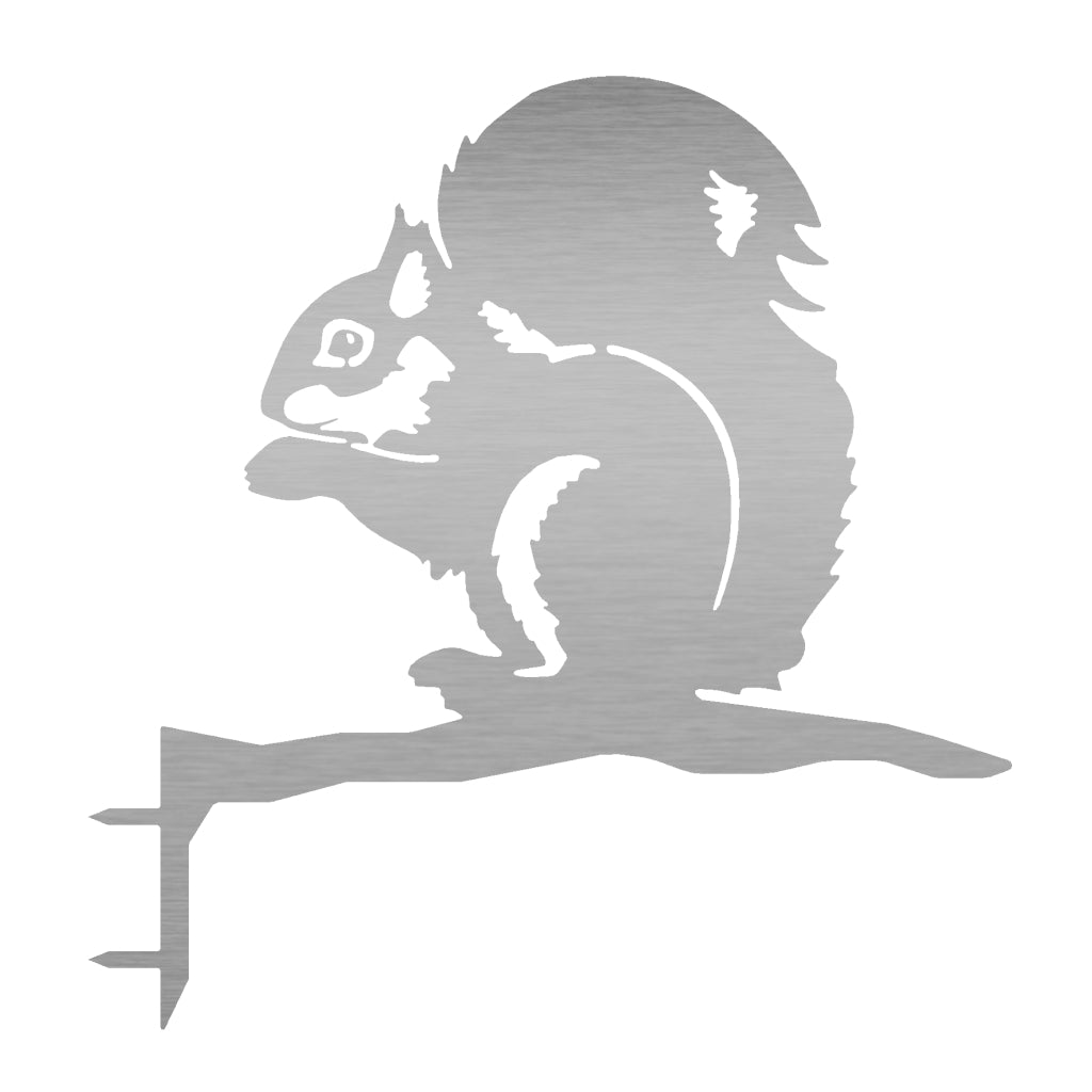 Baumstecker Eichhörnchen