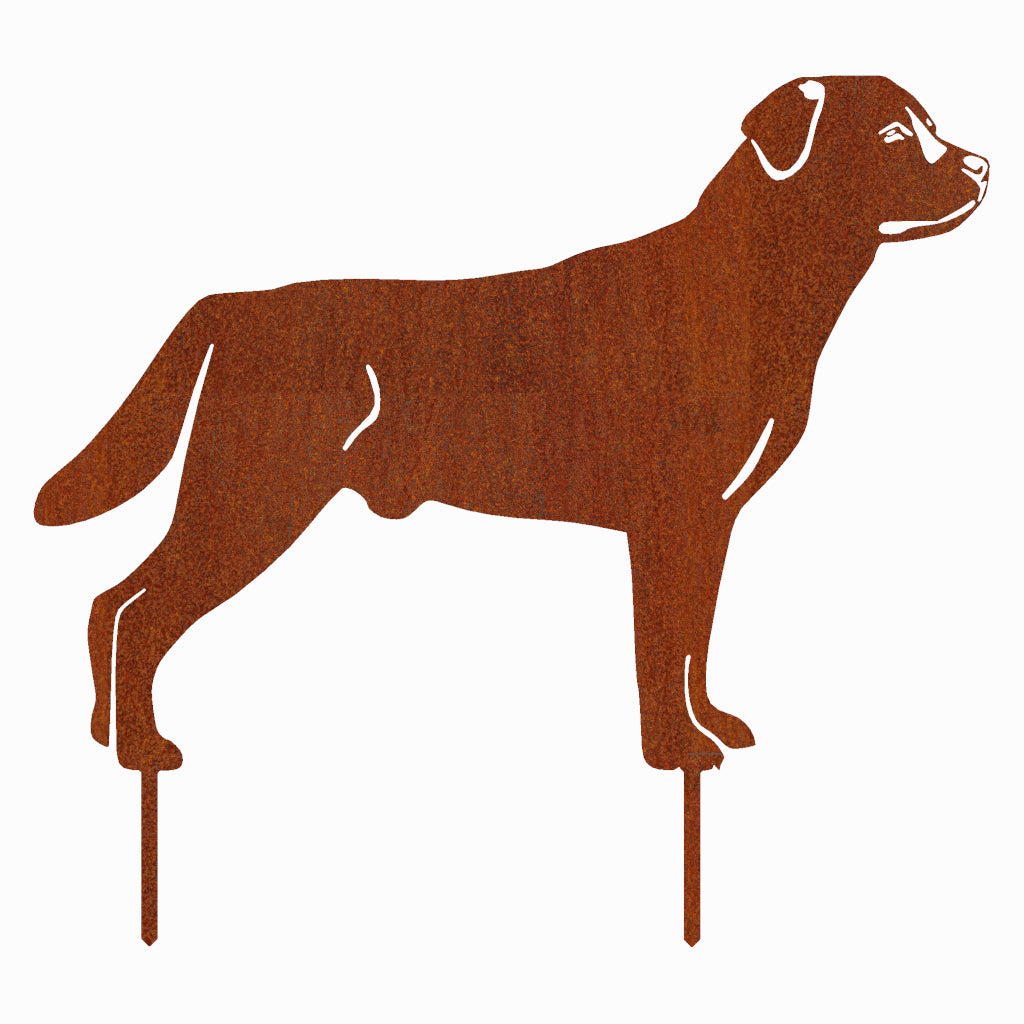 Gartenstecker Labrador aus Cortenstahl, rostige Silhouette eines stehenden Labradors mit detaillierten Konturen, für Gartendekoration geeignet